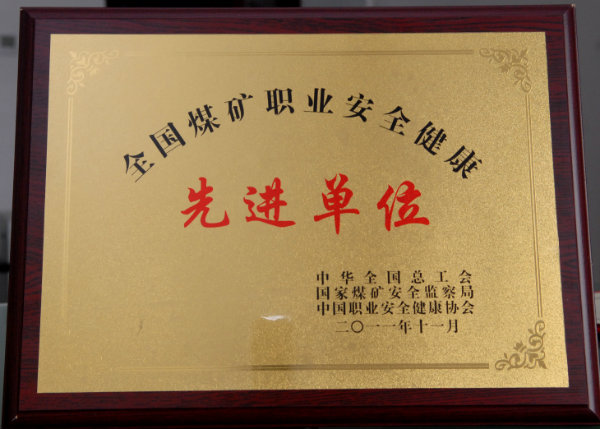 全国安全文化建设示范企业