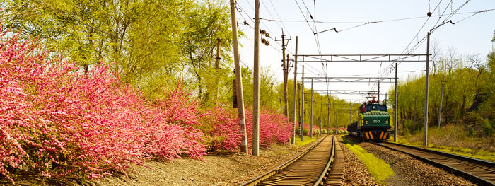 老虎台站驶出的洗三号大列