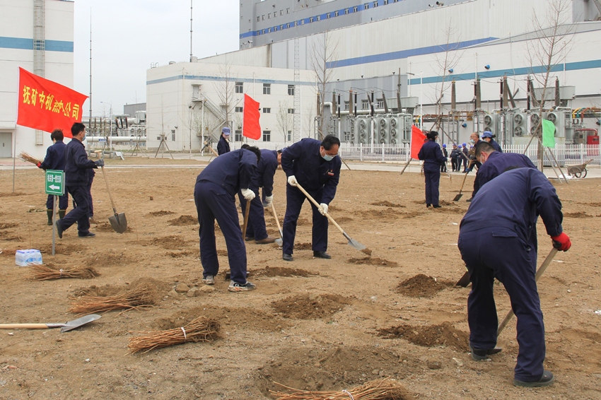 两级机关干部创建文明厂区植树活动