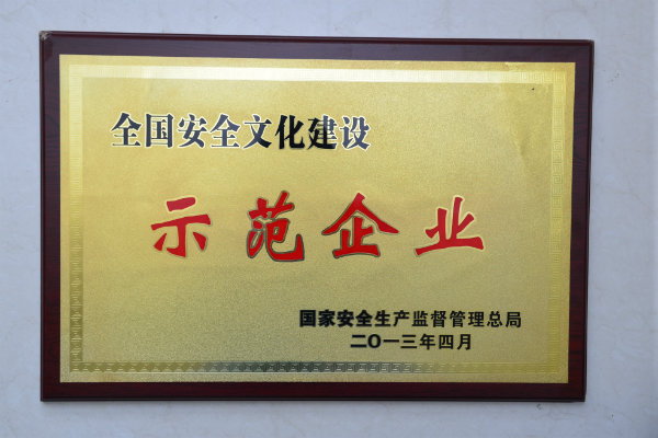 2全国安全文化建设示范企业.JPG
