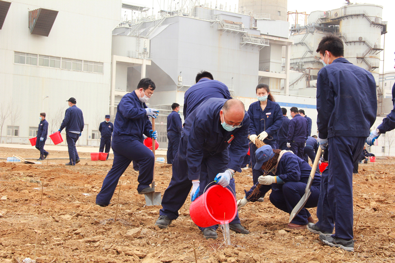 创建文明厂区义务植树_副本.jpg