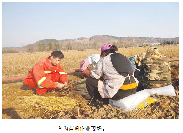 A[KMO2SN${GFC146QC(R2GN.png A[KMO2SN${GFC146QC(R2GN.png